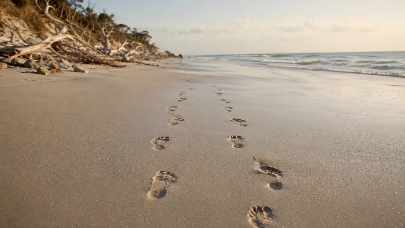 Two sets of footprints moving together along the beach