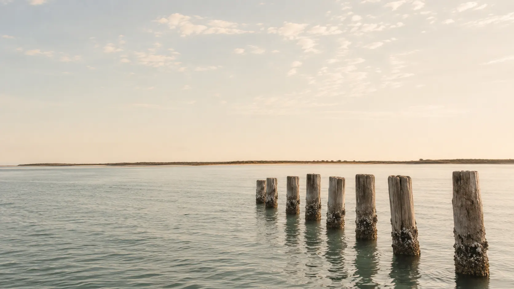 A row of weathered wooden pilings receding across calm coastal water at golden hour