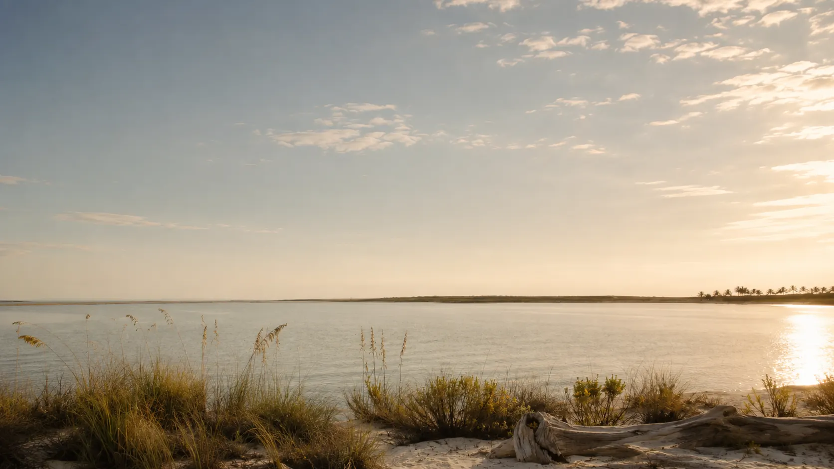 Soft morning light across a calm Jupiter shoreline